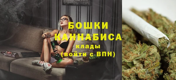 PSILOCYBIN Белоозёрский